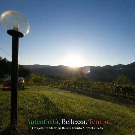 Tramonto tra le vigne – Tenuta MonteOliveto